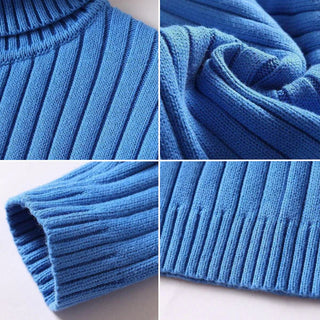 Pullover mit Rollkragen